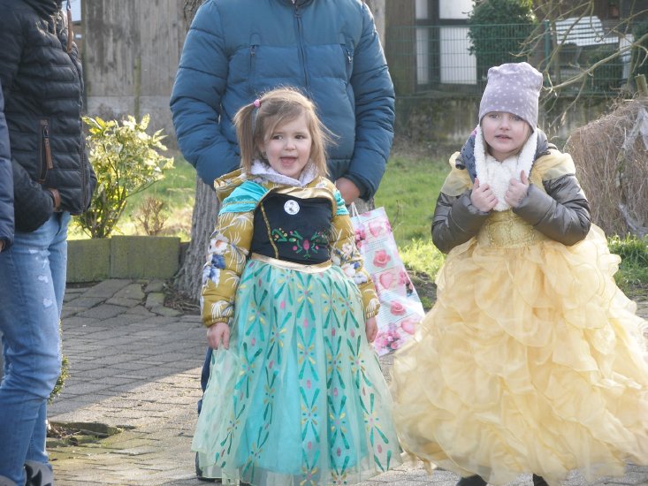 Rosenmontag 2018 (237).JPG
